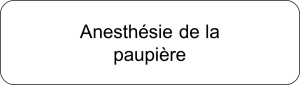 paupiere